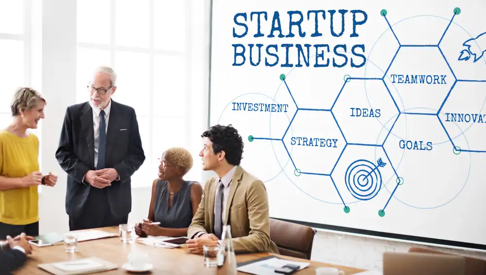 startup cfo services